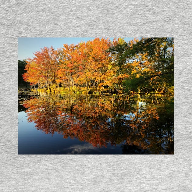 New England Autumn by KatieWagner29